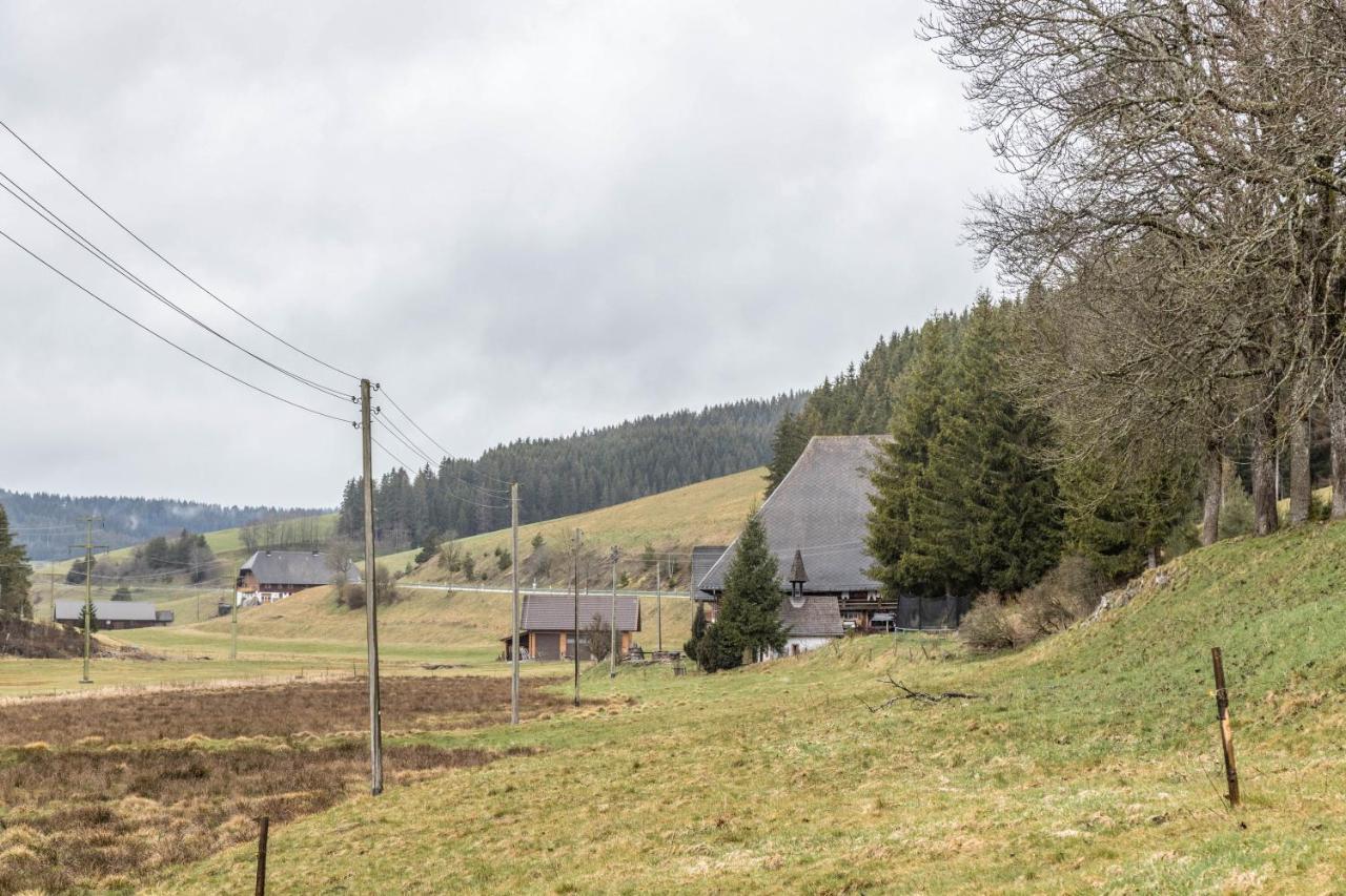 Villa Schwoererhof Eisenbach  Esterno foto