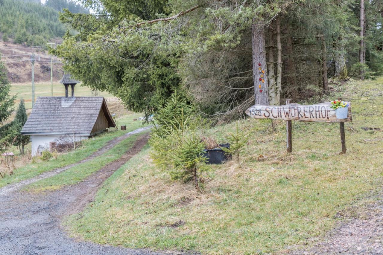 Villa Schwoererhof Eisenbach  Esterno foto